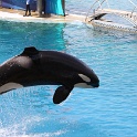 Marineland - Orgues - 059